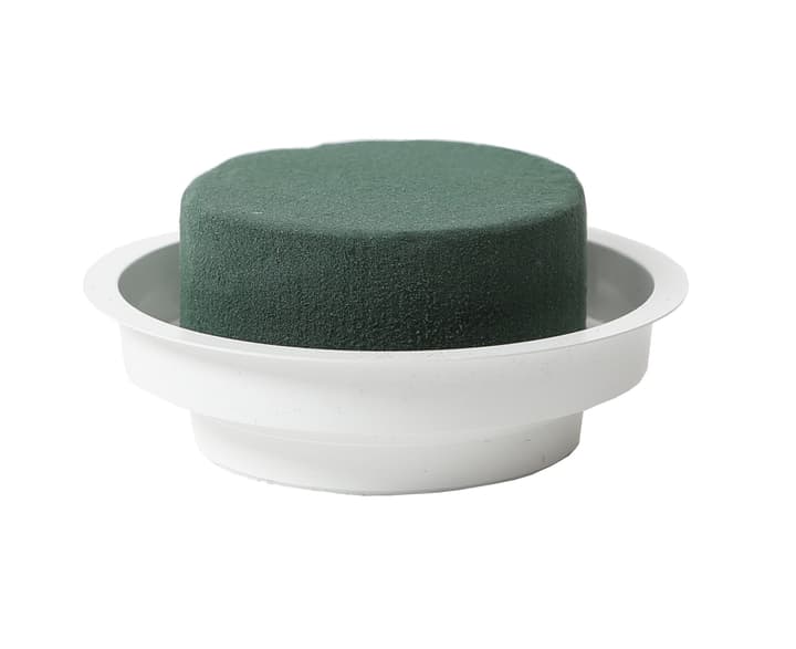 Image of I AM CREATIVE Steckschaum mit Frischziegel bei Do it + Garden von Migros