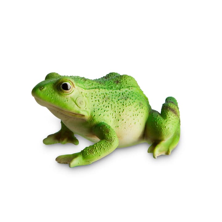 ANFIBIO grenouille décorative ANFIBIO grenouille décorative 382022700000 N. figura 1