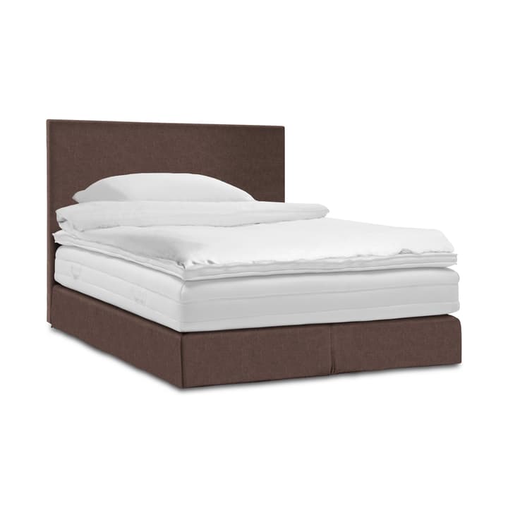 GRACE Lit Boxspring GRACE Lit Boxspring 364289100000 Dimensions L: 200.0 cm x P: 160.0 cm Couleur Chocolat Photo no. 1