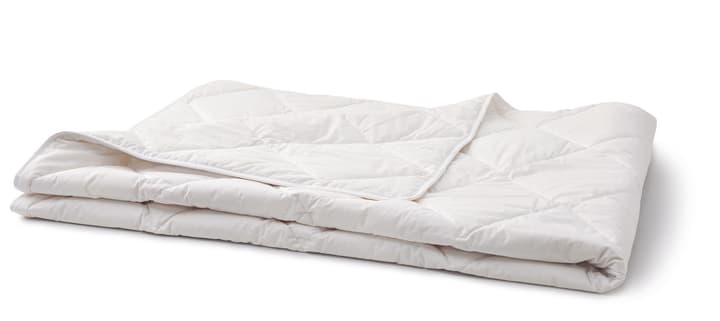 SEDA LIGHT Piumino in seta selvatica SEDA LIGHT Piumino in seta selvatica 451743212310 Colore Bianco Dimensioni L: 160.0 cm x P: 210.0 cm N. figura 1