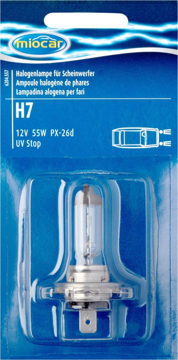 Image of Miocar Halogenlampe H7 Standard Autolampe bei Do it + Garden von Migros