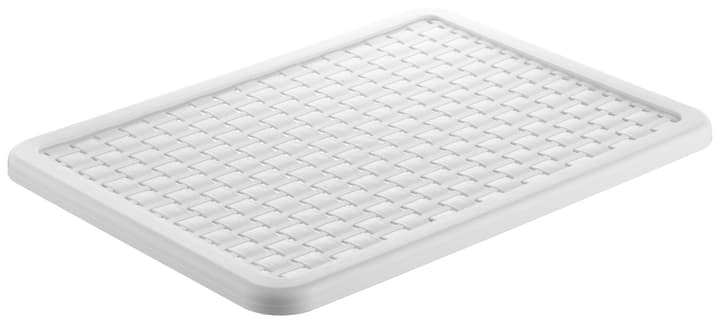 Image of Rotho Deckel zu Korb A4 Country weiss bei Do it + Garden von Migros