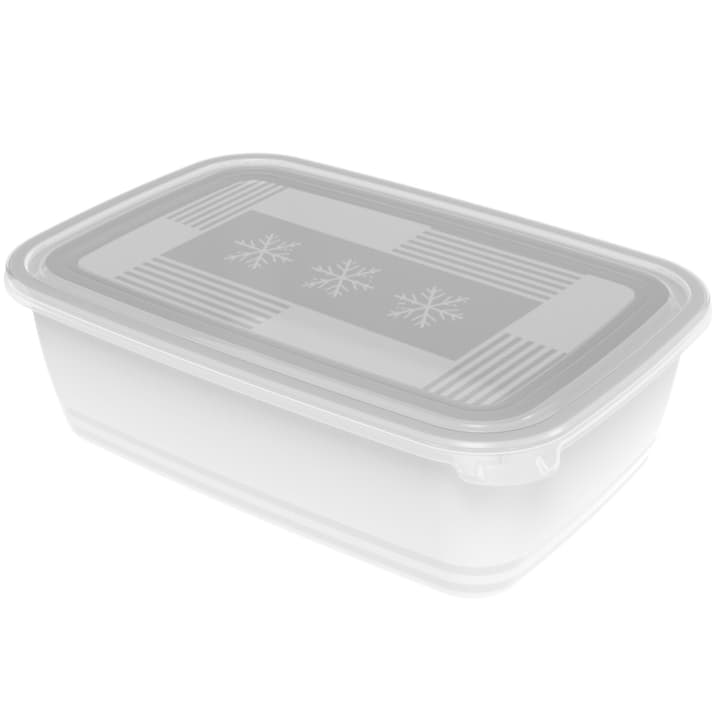Image of Rotho FREEZE Vorratsdose Tiefkühldose