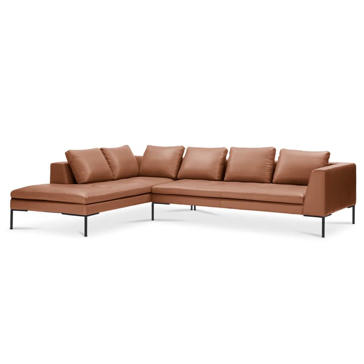 BRANDON Divano ad angolo Rec/3p BRANDON Divano ad angolo Rec/3p 366126950370 Dimensioni L: 319.0 cm x P: 230.0 cm x A: 86.0 cm Colore Marrone N. figura 1