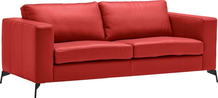 2.5er-Sofa DIENER