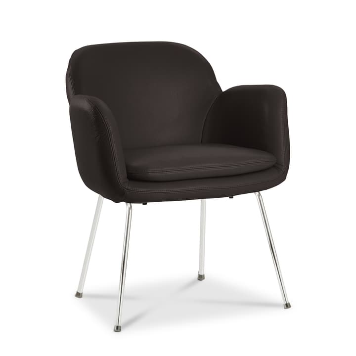 LONZO Chaise LONZO Chaise 366023580705 Dimensions L: 63.0 cm x P: 61.0 cm x H: 78.0 cm Couleur Brun foncé Photo no. 1