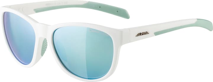 Image of Alpina Nacan II Sportbrille weiss