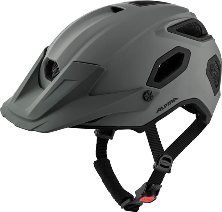 Image of Alpina Croot Mips Velohelm grau