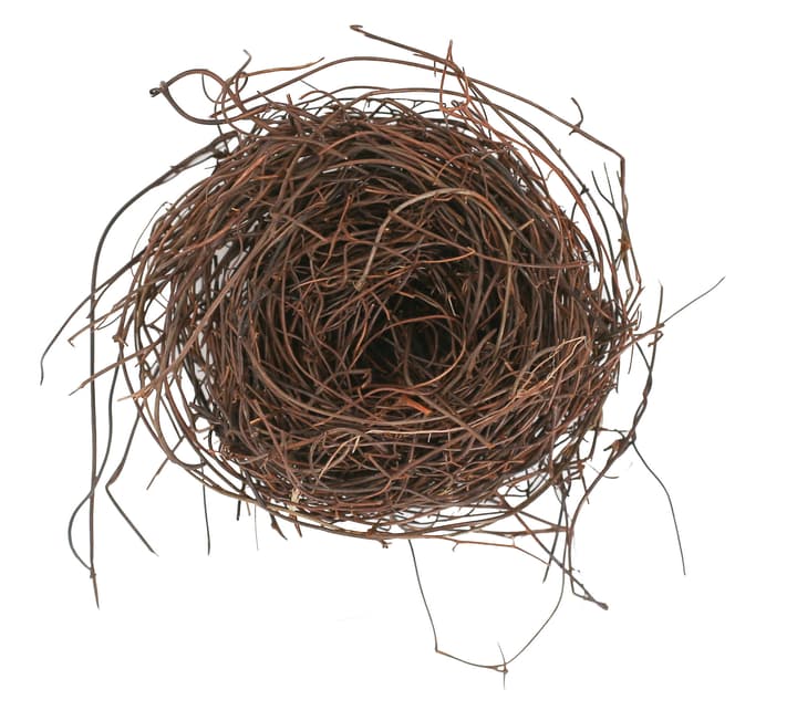 Image of I AM CREATIVE Floristik Zubehör Weinrebenzweige bei Do it + Garden von Migros