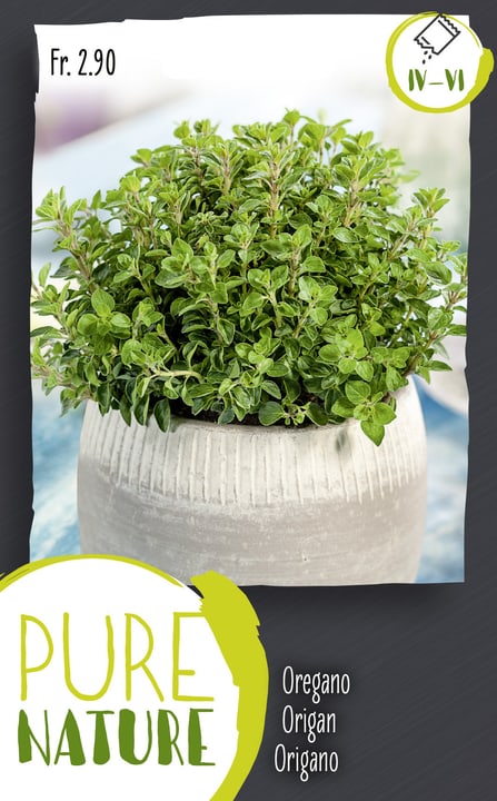 Image of Oregano mehrjährig 1g Kräutersamen bei Do it + Garden von Migros