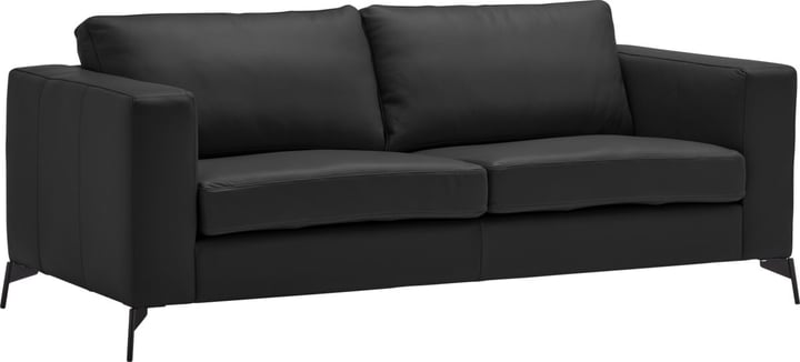 2.5er-Sofa DIENER