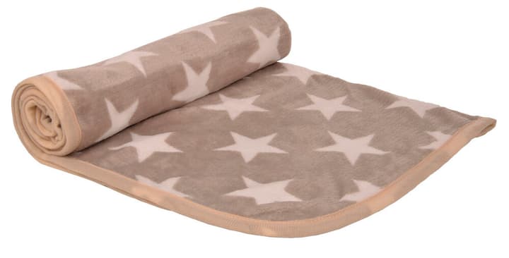 Image of Petlando Stars, L, beige Hundedecke