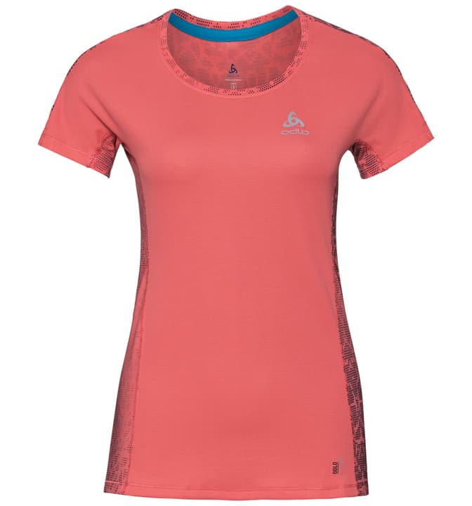 Odlo OMNIUS PRINT F-Dry BL TOP Crew neck s/s Shirt pour femme OMNIUS PRINT F-Dry BL TOP Crew neck s/s Shirt pour femme Odlo 470156700531 Couleur rouge claire Taille L Photo no. 1