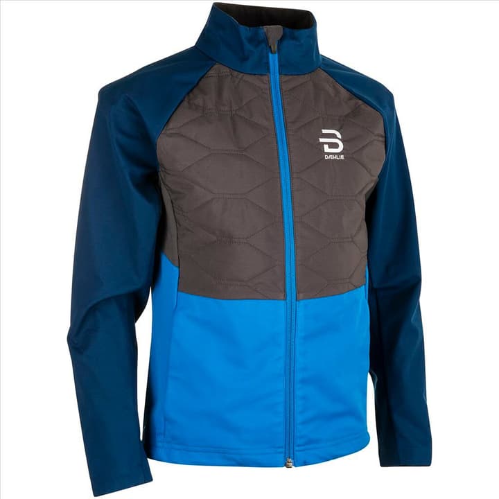 Image of Daehlie Jr Jacket Challenge 2.0 Skijacke blau