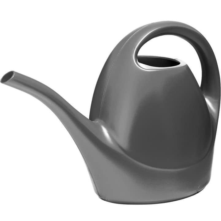 Image of EMSA OASE 3 L Giesskanne bei Do it + Garden von Migros