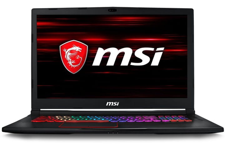 MSI GE73 8RE-608 Raider RGB Notebook GE73 8RE-608 Raider RGB Notebook MSI 785300141998 N. figura 1