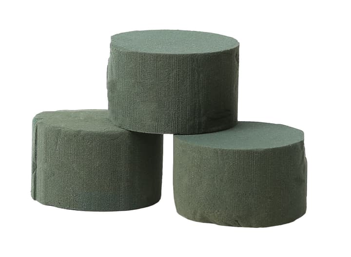 Image of I AM CREATIVE Floristik Zubehör Steckschaum bei Do it + Garden von Migros