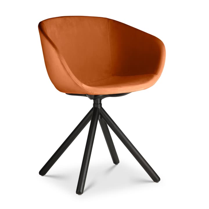 SEDIA Chaise avec accoudoirs SEDIA Chaise avec accoudoirs 366168400000 Photo no. 1