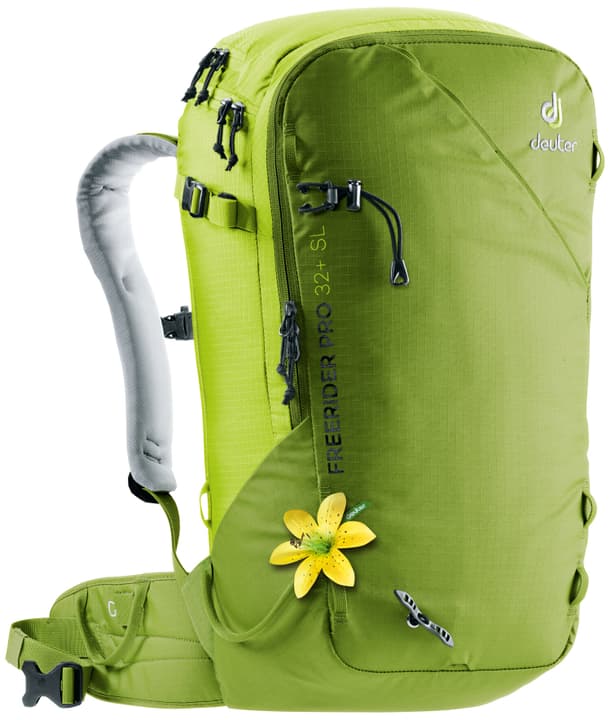 Image of Deuter Freerider Pro 32+ SL Damen-Winterrucksack moos bei Migros SportXX