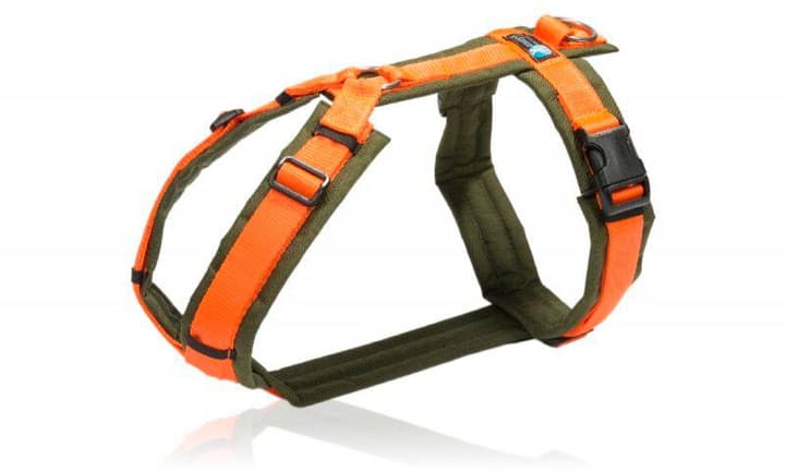 Image of Anny-X Geschirr Fun oliv-orange L Hals 38 - 58 cm / Brust 70 86 Hundegeschirr