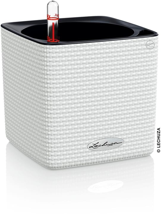 Image of Lechuza Blumentopf Cube Color 14 Weiss