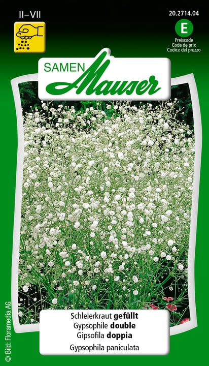 Samen Mauser Gipsofila doppia Sementi di fiori Gipsofila doppia Sementi di fiori Samen Mauser 650118211000 Contenuto 1 g (env. 80 plantes ou 7 m N. figura 1