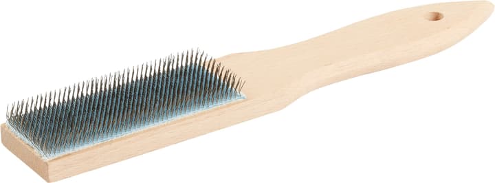 Image of Lux Feilenbürste Comfort Bürsten bei Do it + Garden von Migros