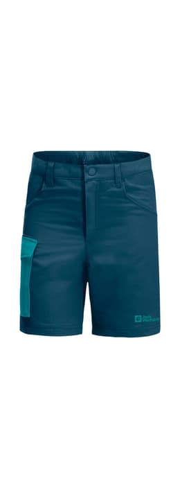 Image of Jack Wolfskin Active Shorts Shorts marine