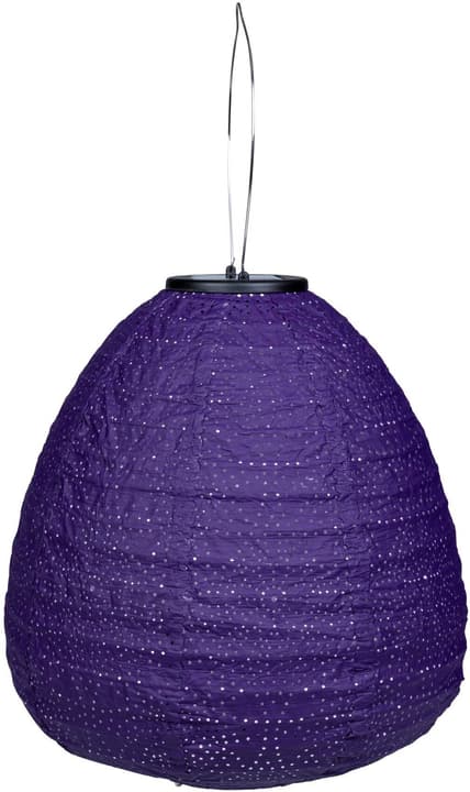 COCON Lanterna LED Cupola solare, viola scuro