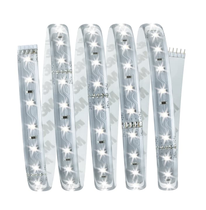 Image of Paulmann MaxLED 500 Basisset 1,5 m, Tageslicht Light-Strip