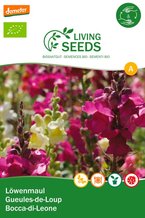 Image of Living Seeds Löwenmaul Blumensamen bei Do it + Garden von Migros