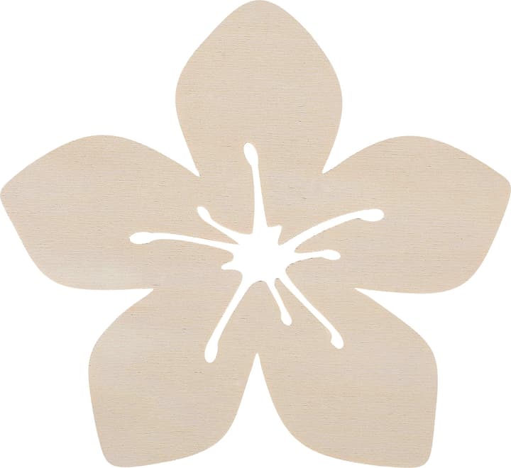 Legna Creativa Hawaii Aloa-Blume gross Hawaii Aloa-Blume gross Legna Creativa 664988000000 Bild Nr. 1