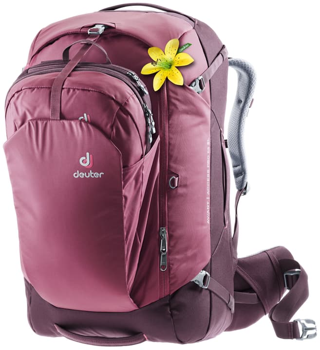 Image of Deuter AViANT Access Pro 55 SL Damen-Rucksack bordeaux bei Migros SportXX