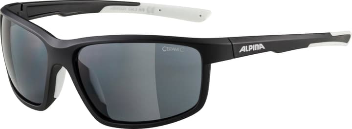 Image of Alpina Defey Sportbrille anthrazit