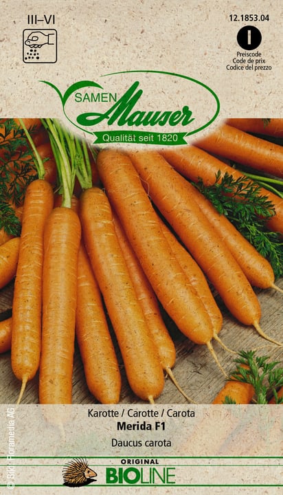 Image of Samen Mauser BIO Karotte Merida F1 Gemüsesamen