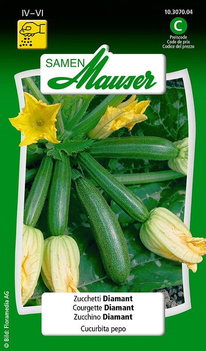Image of Samen Mauser Zucchetti Diamant Gemüsesamen bei Do it + Garden von Migros