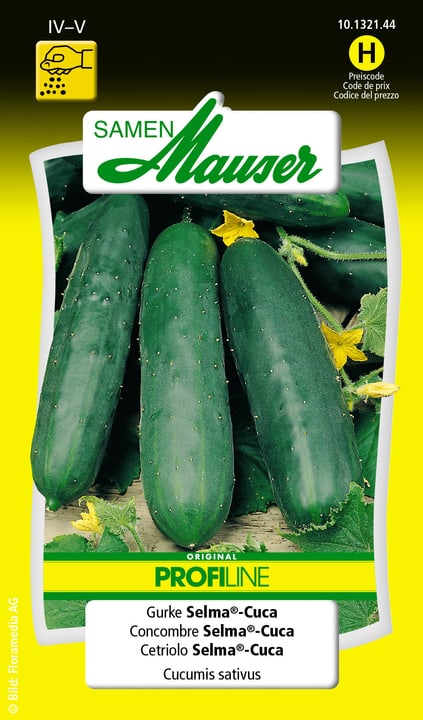 Image of Samen Mauser Gurke Selma®-Cuca Gemüsesamen