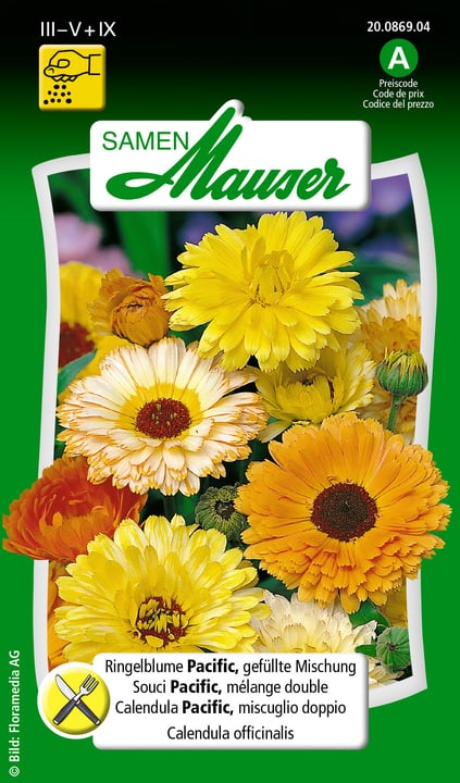 Image of Samen Mauser Ringelblume Pacific, gefüllte Misch. Blumensamen