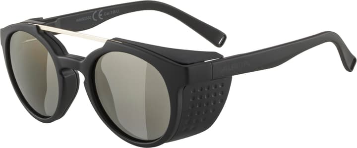 Image of Alpina Glace Sportbrille anthrazit bei Migros SportXX