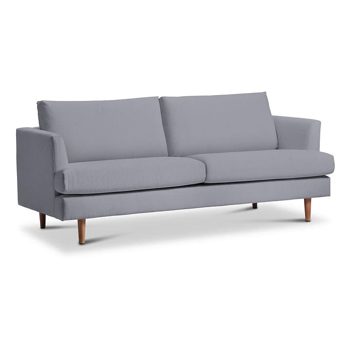 MALIKA 2.5er Sofa MALIKA 2.5er Sofa FG0000092048 Dimensions L: 194.0 cm x P: 91.0 cm x H: 83.0 cm Couleur Argenté Photo no. 1