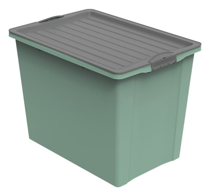 Image of Rotho Compact eco Aufbewahrungsbox