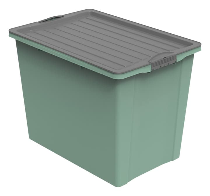 Image of Rotho Compact eco Aufbewahrungsbox bei Do it + Garden von Migros