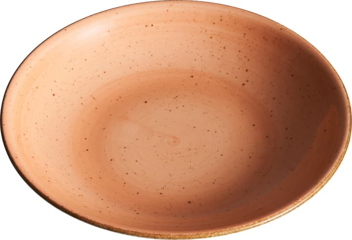 VINTAGE Assiette creuse VINTAGE Assiette creuse 440278200000 Couleur Terra Dimensions H: 4.2 cm Photo no. 1