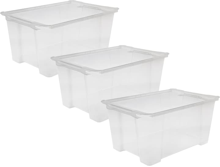 Image of Rotho Evo Easy, 44L, 3er Set Aufbewahrungsbox