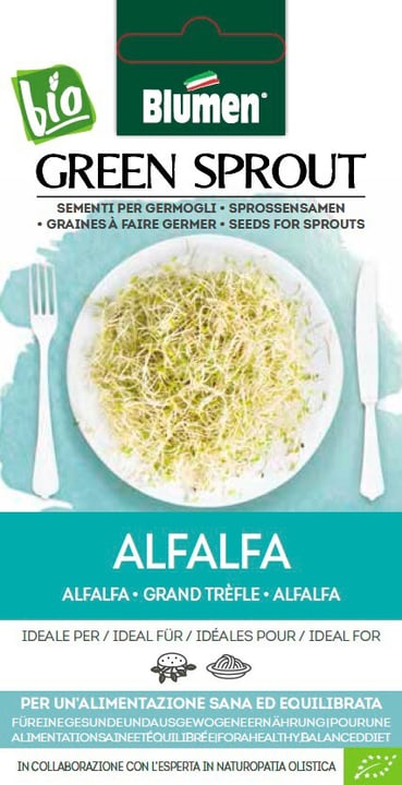 Blumen Sementi Germogli Alfalfa 40g