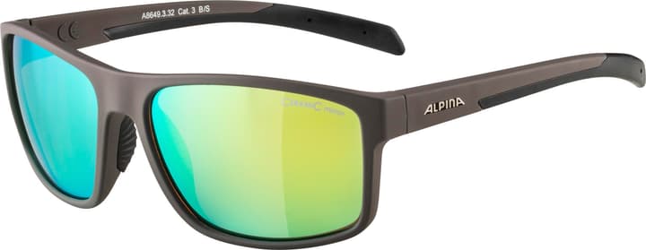 Image of Alpina Nacan I Sportbrille grau