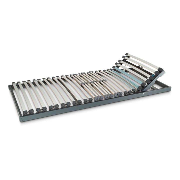HAPPY FLEX PLUS 200 Rete a doghe FLEX PLUS 200 Rete a doghe HAPPY 364201005916 Lunghezza 220.0 cm Larghezza 90.0 cm N. figura 1