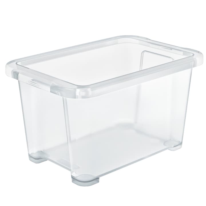 Image of Rotho EVO Easy Aufbewahrungsbox 1.2l, Kunststoff (PP) BPA-frei, transparent bei Do it + Garden von Migros