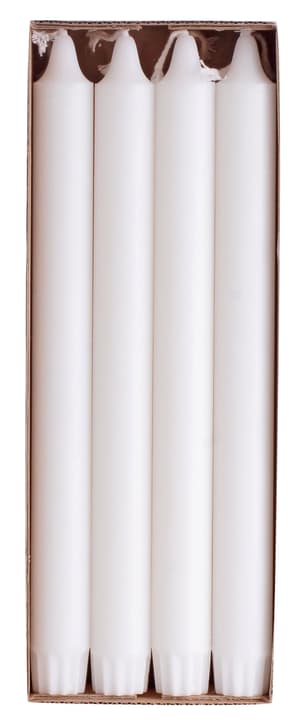GREEN Candela a bastoncino GREEN Candela a bastoncino 440664502410 Colore Bianco Dimensioni A: 24.0 cm N. figura 1
