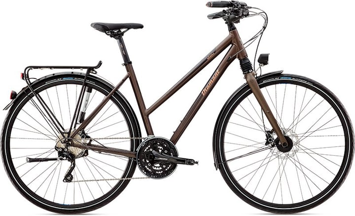 Diamant Elan Super Legere 28" pour femme Vélo de trekking Elan Super Legere 28" pour femme Vélo de trekking Diamant 490179504573 Couleur brun foncé Tailles du cadre 45 Photo no. 1